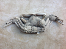 Load image into Gallery viewer, Fossil Crab