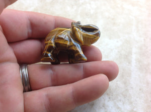 Tiger-eye Elephant