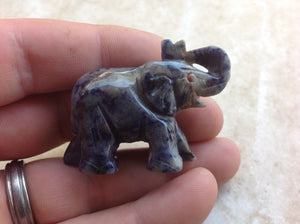 Sodalite Elephant