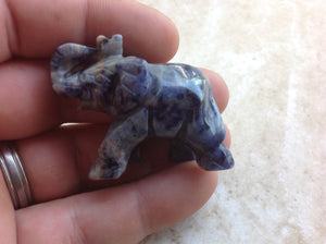 Sodalite Elephant