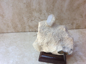 Apophyllite Mineral Specimen