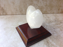 Load image into Gallery viewer, Selenite Heart on stand