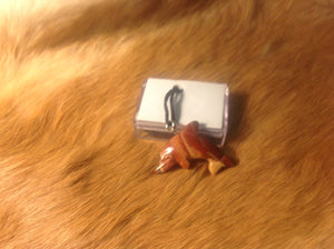 Carved red jasper dolphin necklace.