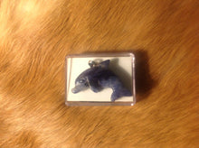 Load image into Gallery viewer, Blue Sodalite Dolphin Necklace.