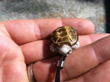 Load image into Gallery viewer, Carved turtle necklace tiger eye shell with granite body