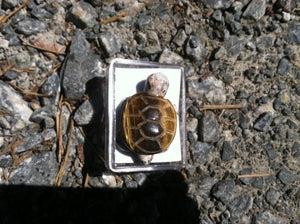 Carved turtle necklace tiger eye shell with granite body