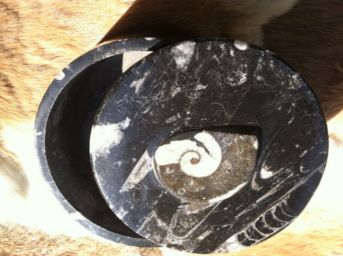 Box or bowl made of prehistoric fossils. Ammonite and Othoceras