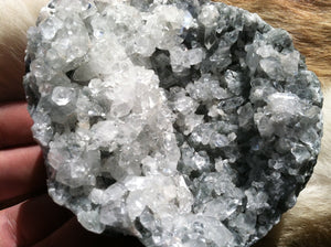 Apophyllite crystal mineral specimen