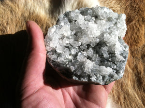 Apophyllite crystal mineral specimen