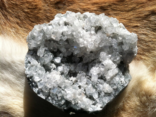 Apophyllite crystal mineral specimen