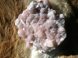 Apophyllite and Stilbite crystal mineral specimen