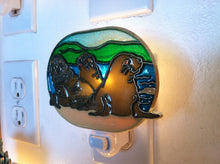 Load image into Gallery viewer, Seal Beach Night Light  4 watt  on/off switch