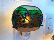 Load image into Gallery viewer, Seal Beach Night Light  4 watt  on/off switch