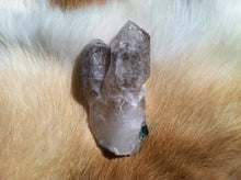 Load image into Gallery viewer, Scepter Smoky Quartz Point Specimen with Tourmaline