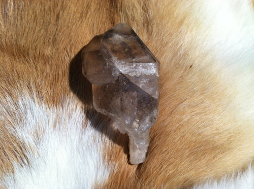 Scepter Quartz point specimen