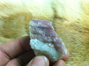 Pink Tourmaline Crystal Mineral Specimen in Quartz