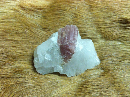 Pink Tourmaline Crystal Mineral Specimen in Quartz