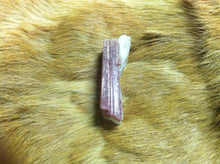 Load image into Gallery viewer, Pink Tourmaline Crystal Mineral Specimen in Quartz