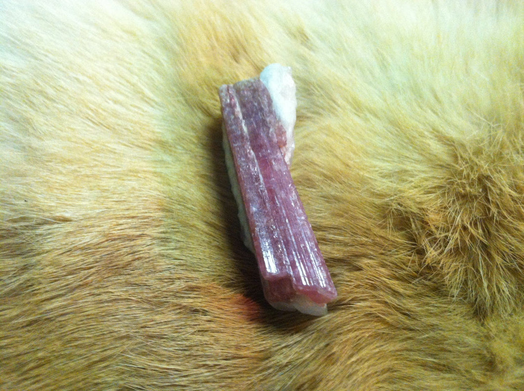 Pink Tourmaline Crystal Mineral Specimen in Quartz