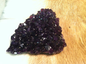 Uruguay Amethyst Crystal Geode Specimen     Highest Grade!!!!