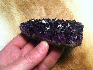 Uruguay Amethyst Crystal Geode Specimen     Highest Grade!!!!