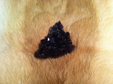 Load image into Gallery viewer, Uruguay Amethyst Crystal Geode Specimen     Highest Grade!!!!