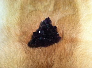 Uruguay Amethyst Crystal Geode Specimen     Highest Grade!!!!