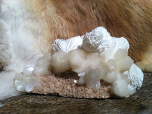 Scolecite Apophyllite Stilbite crystal mineral specimen