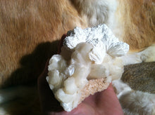 Load image into Gallery viewer, Scolecite Apophyllite Stilbite crystal mineral specimen