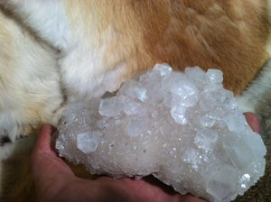 Apophyllite crystal mineral specimen