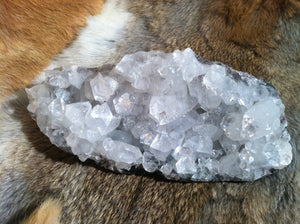 Apophyllite crystal mineral specimen