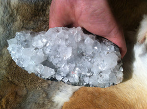 Apophyllite crystal mineral specimen