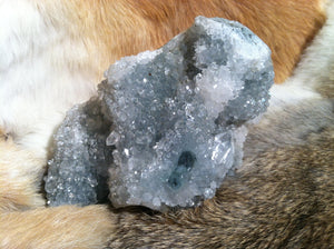 Apophyllite crystal mineral specimen