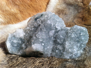 Apophyllite crystal mineral specimen