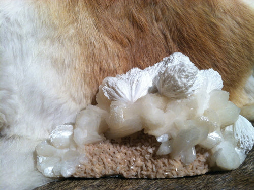 Scolecite Apophyllite Stilbite crystal mineral specimen