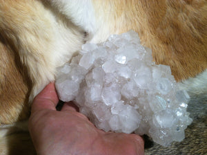 Apophyllite crystal mineral specimen