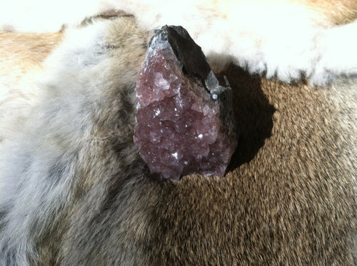 Amethyst Crystal Geode Specimen with Cut Base