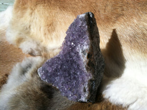 Amethyst Crystal Geode Specimen with Cut Base