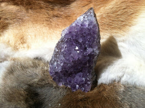 Amethyst Crystal Geode Specimen with Cut Base