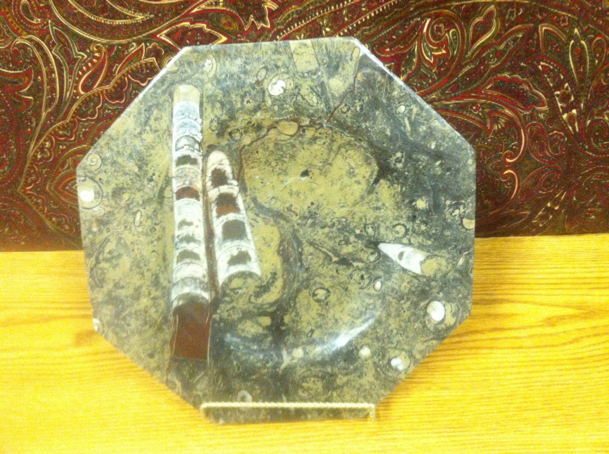 Octagon plate or bowl made of prehistoric fossils. Ammonite and Orthoc ...