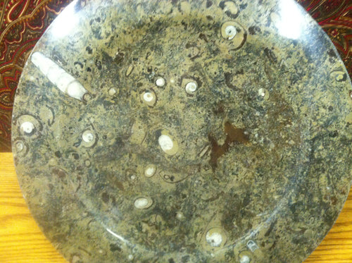 Round plate or bowl made of prehistoric fossils. Ammonite and Orthoceras art