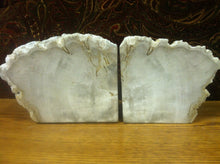 Load image into Gallery viewer, petrified wood bookends