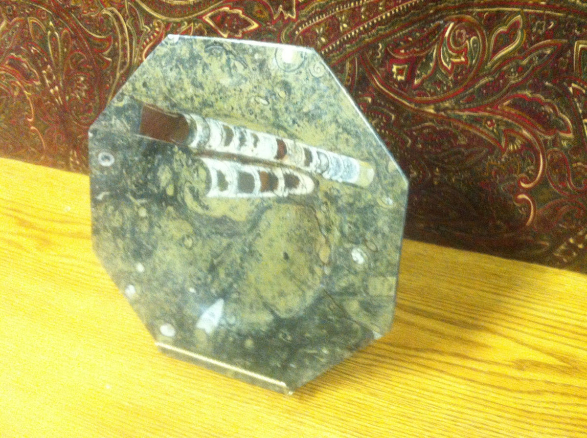 Octagon plate or bowl made of prehistoric fossils. Ammonite and Orthoc ...