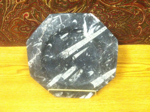 Octagon plate or bowl made of prehistoric fossils. Ammonite and Orthoceras art