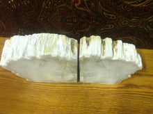 Load image into Gallery viewer, petrified wood bookends