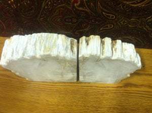 petrified wood bookends