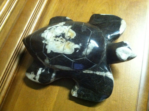 petrified wood turtle