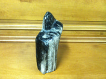 Load image into Gallery viewer, petrified wood fully polished cut base stand up