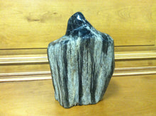 Load image into Gallery viewer, petrified wood fully polished cut base stand up