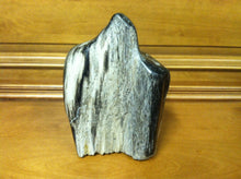 Load image into Gallery viewer, petrified wood fully polished cut base stand up